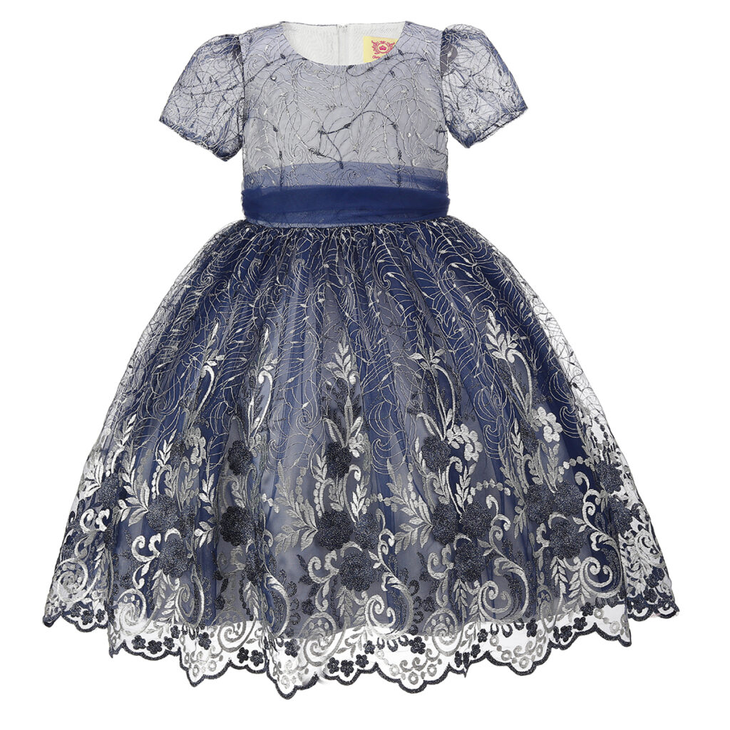 Navy Floral Embroidered Overlay Dress