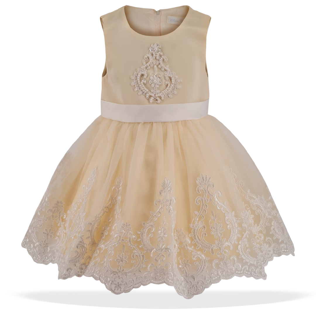 Cream Embroidery Tulle Dress
